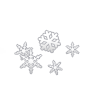 Light Snow